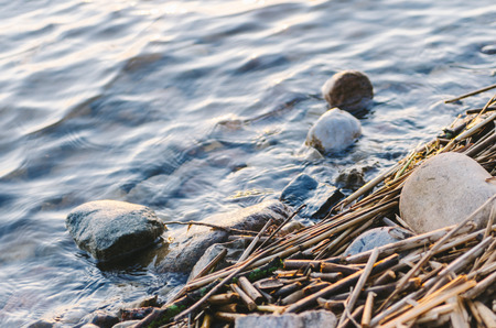 On the beach of the lake in russiaの写真素材