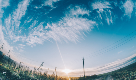 Beuaitful summer landscape on green fieldの写真素材