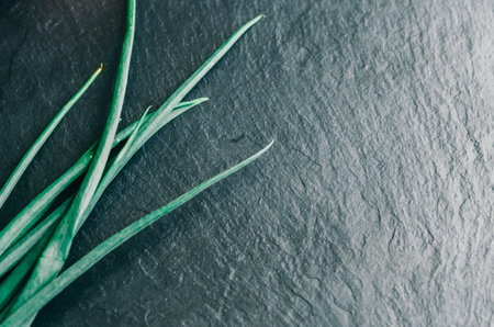 Dill, parsley, green onions lie on the kitchen cutting board
