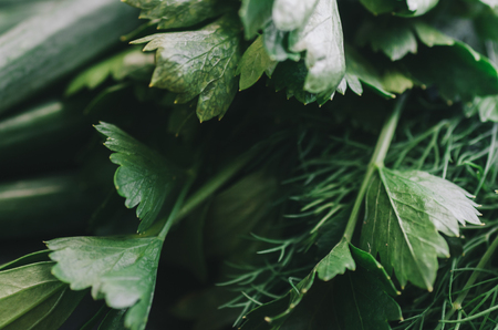 Dill, parsley, green onions lie on the kitchen cutting boardの写真素材