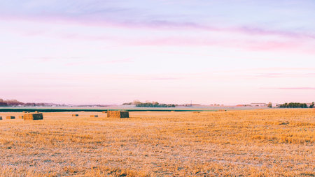 Hay after summer in the russian village
