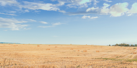 Hay after summer in the russian villageの写真素材