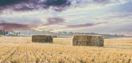 Hay after summer in the russian villageの写真素材