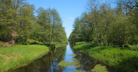 Panoramic view of the river and the forest in spring.