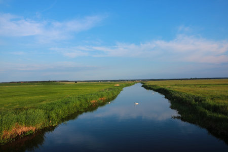 Landscape with river and blue sky in summer, Holland, Europe