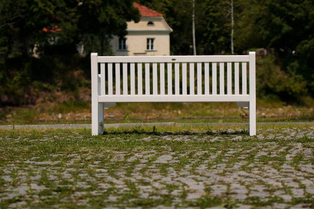 White wooden bench in a park on a sunny day with green grassの写真素材