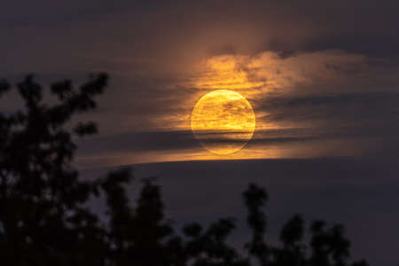 Full moon in the night sky, covered with clouds.の写真素材