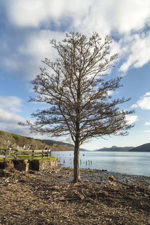 Loch Ness at Dores village in Scotland.の写真素材