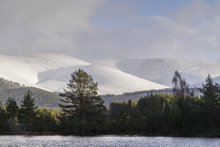 Uath Lochan & Cairngorms at Glen Feshie in Scotland.の写真素材