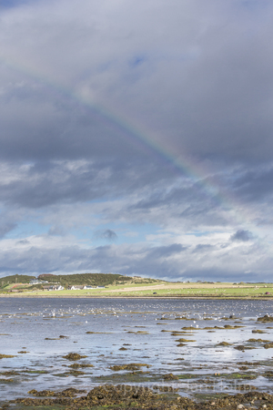 Moray Firth at Alturlie near Inverness in Scotland.の写真素材