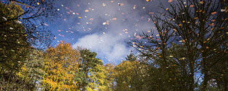 Autumn reflections in pond at Craig Dunain near Inverness in Scotland.