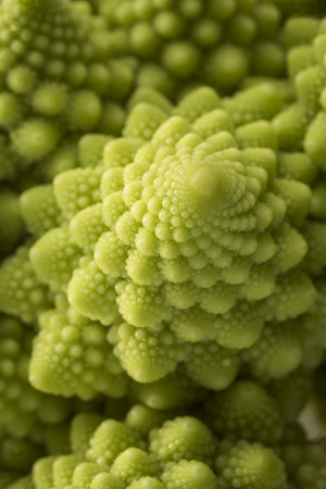 Small Romanesco Florets.の写真素材
