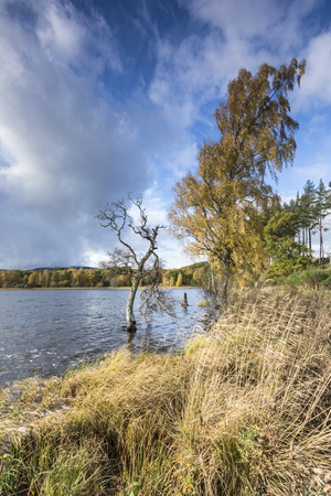 Loch Pityoulish in the Highlands of Scotland.の写真素材