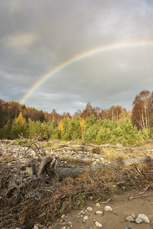 Rainbow over Glen Feshie in the Cairngorms National Park of Scotland.の写真素材