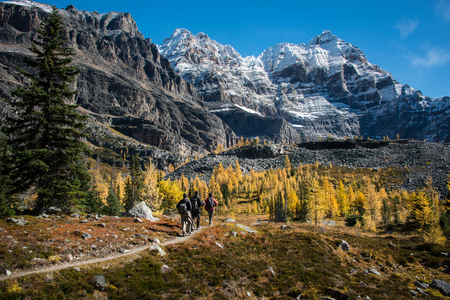 Hiking at Lake O'Hara in autumn, Yoho national Park, Canadaの写真素材