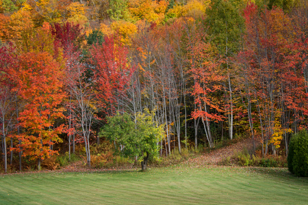 A path leading to the fall colours in the woods, Quebec, Canadaの写真素材