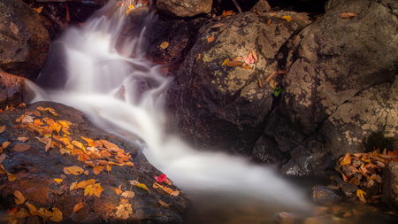 Fallen autumn leaves by the stream in Mont Tremblant, Canadaの写真素材