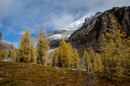Valley of the Ten Peaks trail in Banff National Park, Canadian Rockiesの写真素材