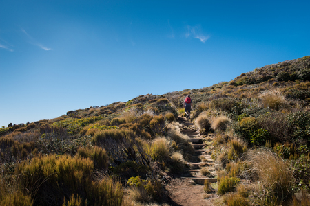 Hiking Pouakai Track in Egmont National Park, Taranaki New Zealandの写真素材