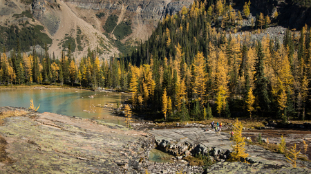 Lake O'Hara in Autumn, Yoho National Park, Canadian Rockiesの写真素材
