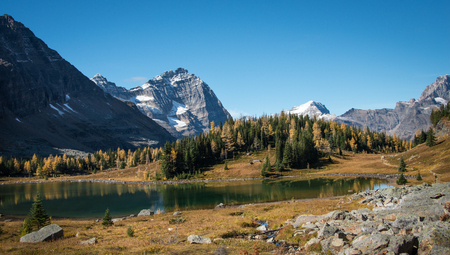 Lake O'Hara in Autumn, Yoho National Park, Canadaの写真素材