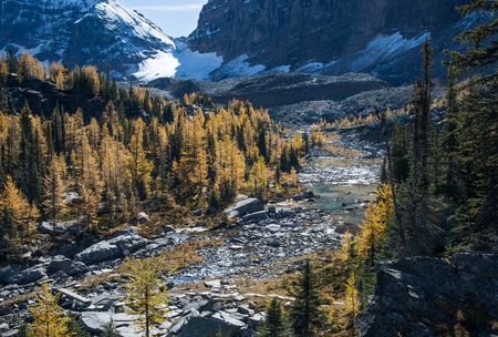 Lake O'Hara in Autumn, Yoho National Park, Canadian Rockiesの写真素材