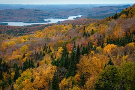 Beautiful autumn colours in Mont Tremblant, Quebec, Canadaの写真素材
