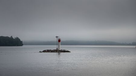 Mist on one of the small island with a tiny lighthouse of the Thousand Islands at the Canada-US border in the Saint Lawrence Riverの写真素材