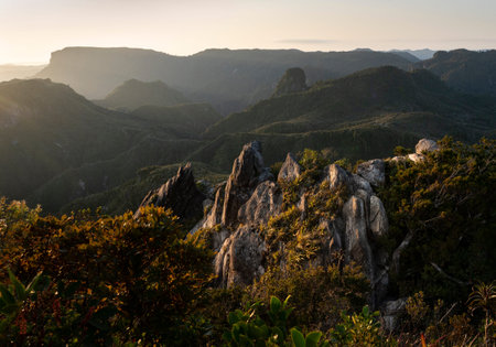 Setting sun lit up the valleys of the Pinnacles track, Coromandel, New Zealandの写真素材