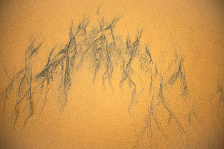 Golden sand patterns on the beach