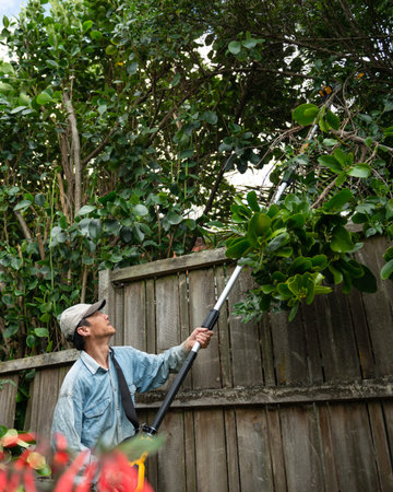 A gardener using a long chainsaw to trim the trees along the fence. Vertical format.