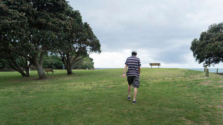 Man walking among the big Pohutukawa trees in the parkの写真素材