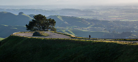 Running on the road to Te Mata Peak, Hawkeâ€™s Bay.
