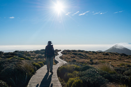 Backlit image of a backpacker hiking Pouakai circuit on boardwalk, Sun starburst shiniing on the...