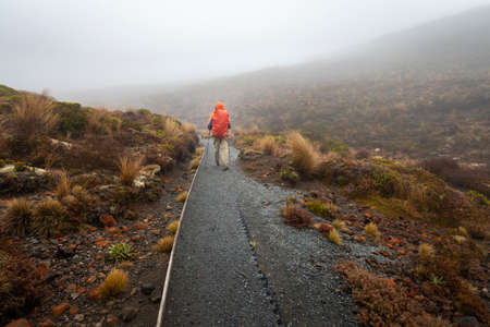 Hiking Tama Lakes track in thick fog, among golden and red tussocks. Tongariro National Park.の写真素材