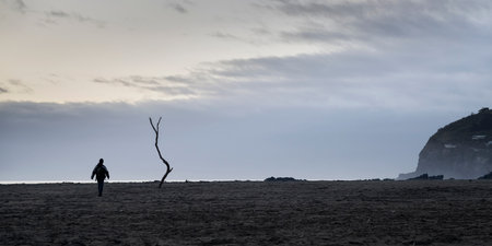 Man walking on the beach at Sumner beach at dawn, Christchurch.の写真素材