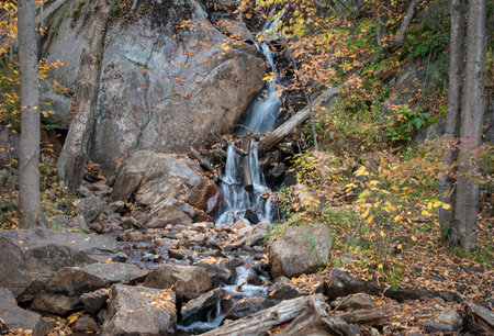 Waterfalls among autumn leaves on Mont Tremblant. Quebec. Canada.の写真素材