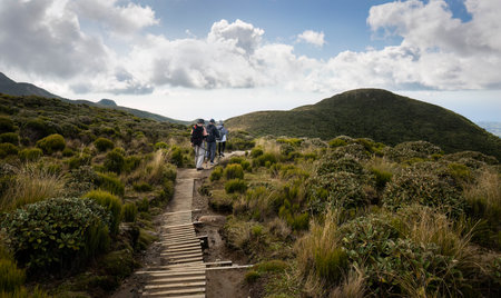 Three people hiking Pouakai circuit on boardwalk, Egmont National Park. New Zealand.の写真素材