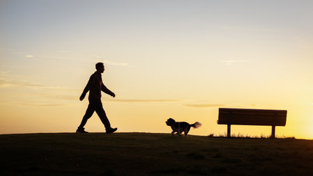 Man and dog walking in a park at sunrise.の写真素材