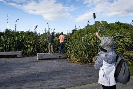 People looking over flax plants and taking photos at New Plymouth Coastal Walkway. Concept of something interesting over there.の写真素材