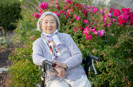 Senior woman with facemask under her chin sitting on a walker and relaxing among the rose bushes.の写真素材