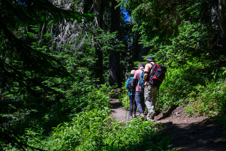 Hiking Summit Lake Trail at Mount Rainier National Park in summer. Washington State.の写真素材
