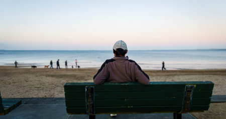 Man sitting on the bench at sunset. Unrecognizable people and dogs walking on the beach. Auckland.