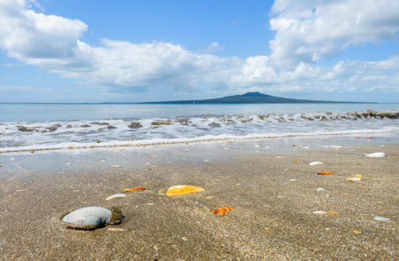 Takapuna Beach with Rangitoto Island in the background. Selective focus on the seashells in foreground. Auckland.の写真素材