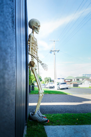 Halloween - Skeleton leaning on the fence wall, unrecognizable houses and cars in the background. Auckland. Vertical format.の写真素材