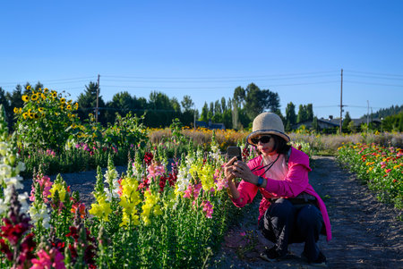 Woman taking smartphone photos of beautiful flowers.の写真素材