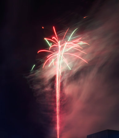 Beautiful fireworks in the night sky. Vertical format.の写真素材
