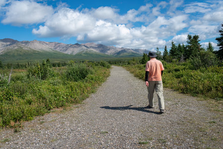 Man walking at Denali National Park and Preserve. Alaska. USA.の写真素材