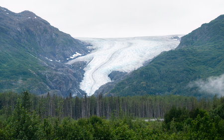 Exit Glacier. Kenai Fjords National Park. Seward. Alaska.の写真素材
