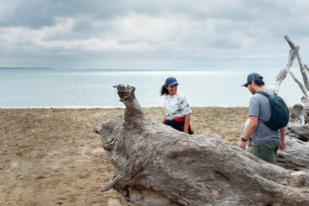 Couple walking on the beach among fallen tree trunks. Long Bay coastal Okura Track. Auckland.の写真素材
